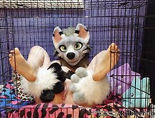 caged puppy pussy
