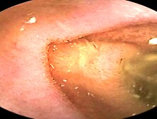 Preview Clip --Giantess Drinking Cofffee