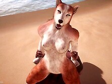 WildLife - Furry Hentai