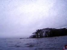 natural murmuration by IslandsAndRivers