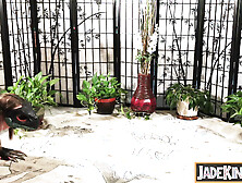 Roped,  wrestled to the ground,  and given an butt sex cream-pie.