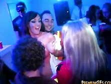 hot Dark Haired Goddess Hardcore Fellatio during a Party
