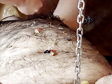 Part two, Bitch goddess Ssatana and Mastix Izar humiliates Satana piggy with food,