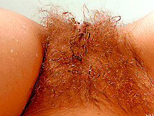 spic huge asses lineup