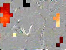 Milf Michelle Fucks herself in her Black Corsette