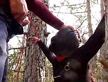 Tied To A Tree On A Sensual Outfit,  Masked And Outdoor Deepthroating With No Mercy - Oral Sex