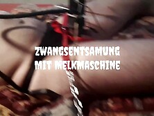 Melkmaschine Zwangsentsamung