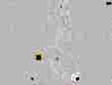 Busty Felony made to clean up her mess