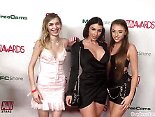 Avn Nominations Party Crimson Carpet - Part Two