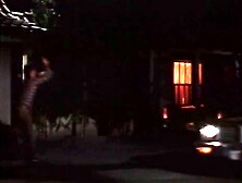 Wild Dallas Honey (1982, US, Honey Wilder, full scene, DVD)