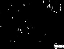 Charlee Chase - pornstar trailer