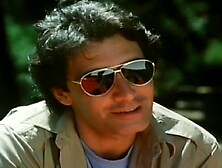 Sweetheart From The Park