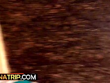 Large boobed lalin girl madam banged roughly by a tourist