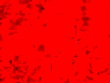 RLC frontpage homosexual sex