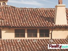 Swingers are having a wild orgies