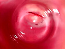 Internal web-cam inside tight creamy Cunt, Cock's POINT OF VIEW