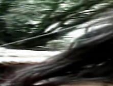 Youthful Delicate T-girls 15 three