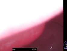 Dong Grinding Intimaly Tserica Sex tool Cockblock Frot Endoscope Pov