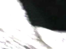 Quick Interracial fucking in the car