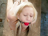 Hot Flexible Blond Suffers A Category 5 Suspension.  Anal Hook,  Heavy Nipple Weights,  Made To Cum.  - HogTied