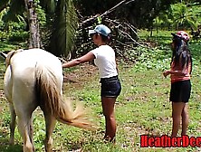 Heatherdeep. Com Teeny Skanks Vs Horse Size Penis