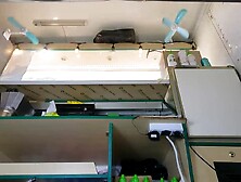 Super cute angel in pink mini petticoat secretly upskirted at work - voyeur pov