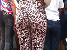 Leopard Ass