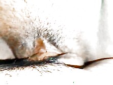 Pregnant women fucking video wife and hasbend