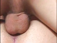 Bareback Rough-Fuck With Creampie