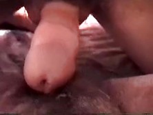 Mexican Bitch Gets Her Nasty Hirsute Poontang Screwed