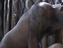 hot indian neighbour hard fuck====part 2