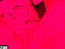 REDLIGHT JIZZED VAGINA
