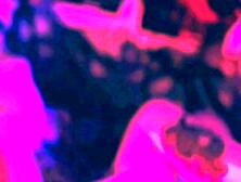 My Slave Slut Enjoys To Swallow My Perfect Feet