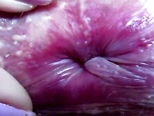 Terma dyal faty 9a7ba maghribia