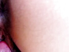 The Forbidden Flambeau A Sensual Surrender by Exotic Desire, Michelle