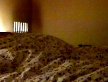 Italiana/o Centoxcento Valeria Sinigaglia