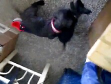 Bbw enjoys bbc at home