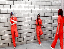 Prison Girls In Fight Conflict Get Arresting For Sex By Lesbian Guards