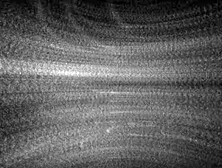 Kaylee Hilton Sucks And Rides Cock