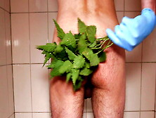 Nettle Spanking