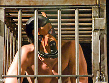 Tony Buff & Steven Daigle In Kennel Master: Tony Buff And Stephen Daigle - Kinkmen