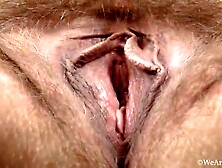 Lariona has fun stripping naked and showing off - WeAreHairy