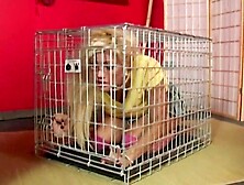 Maxine X Got An Anal Plug Inside In advance of Scott Rhodes Bangs Her Snatch!