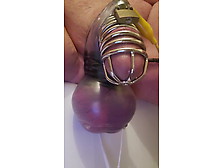 Precum Drool Chastity Electro