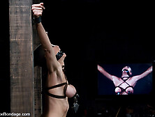 Princess Donna Dolore in Princess Donna World famous Mistress,  helpless on the sybianmade to cum like a common whore - DeviceBon