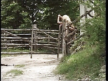 Il Cacciatore di Fica!!