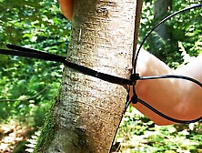 Tie her tits to the tree and whip them hard