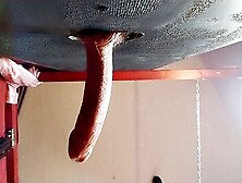 Lady Shock - Glory Hole Suck And Fuck P1