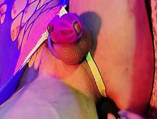 Sissy Training With Dominant Wife Bbc Strapon And Anal Plug