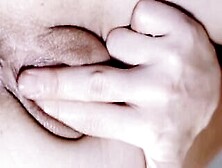 Close Up Vagina Lips